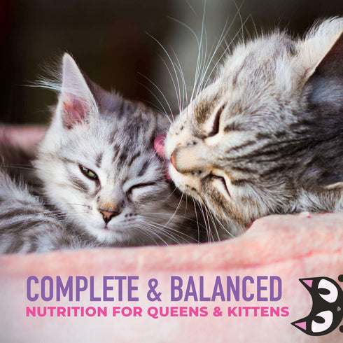 Tiki Cat Baby Weaning Puree Chicken & Chicken Liver In Broth Wet Cat Food 6oz - Poudre Pet & Feed Supply 4